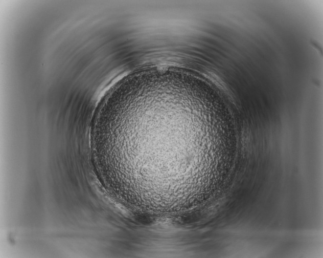 X0000102290790200808011512