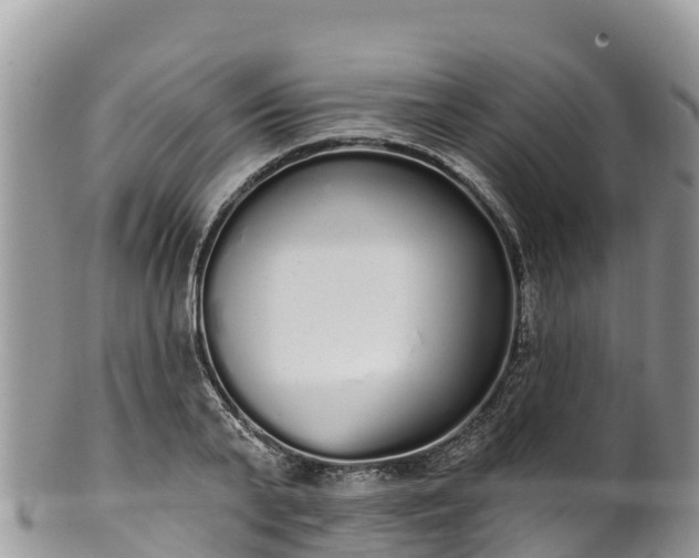 X0000102290791200808011512