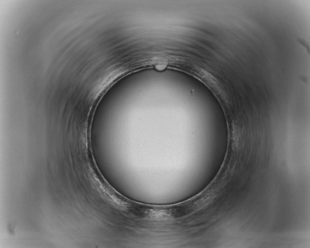 X0000102290794200808011512