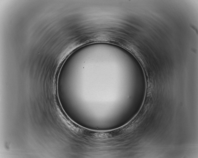 X0000102290795200808011512