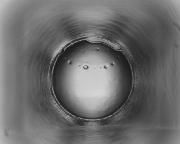 X0000102290796200808011512