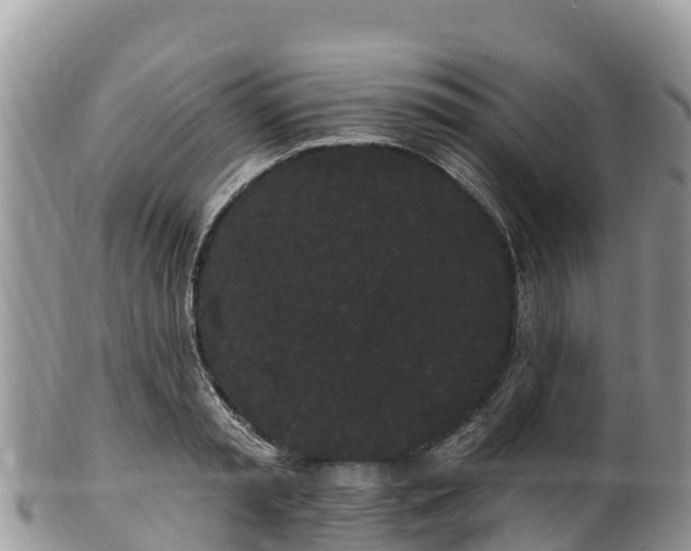 X0000102290797200808011512