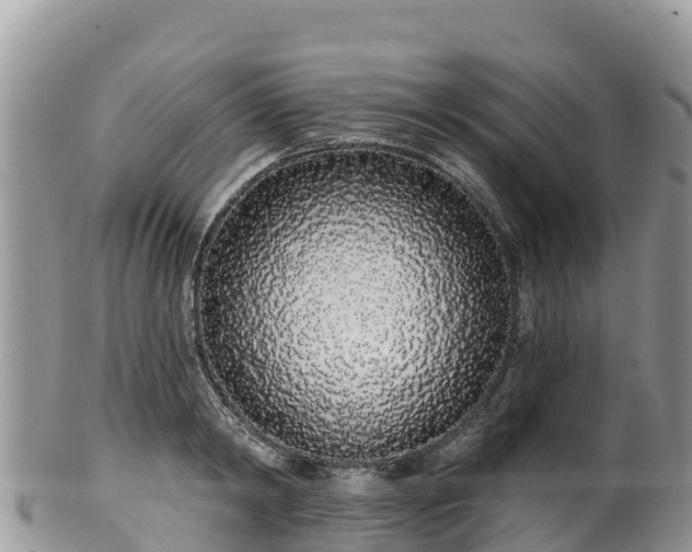 X0000102290798200808011512