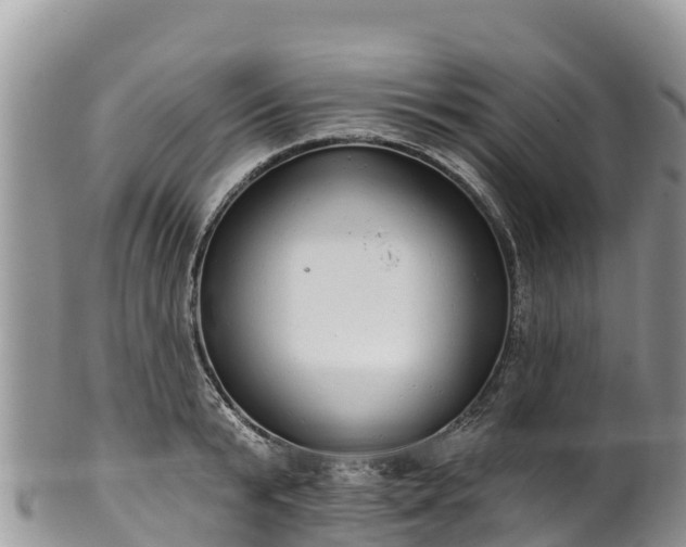 X0000102290799200808011512