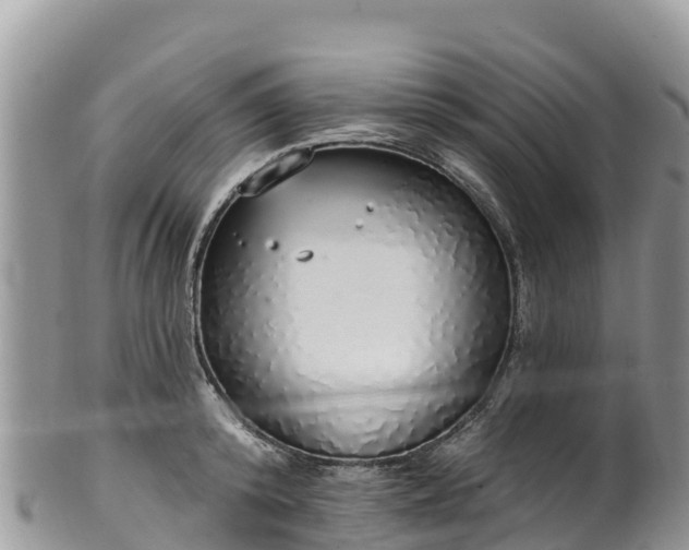 X0000102290800200808011512