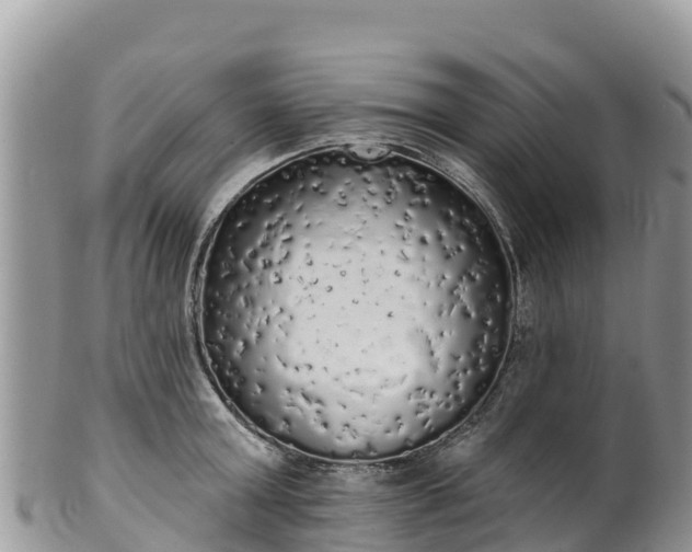 X0000102290803200808011512