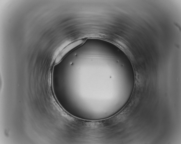 X0000102290804200808011512