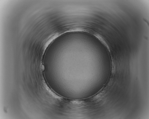 X0000102290805200808011512