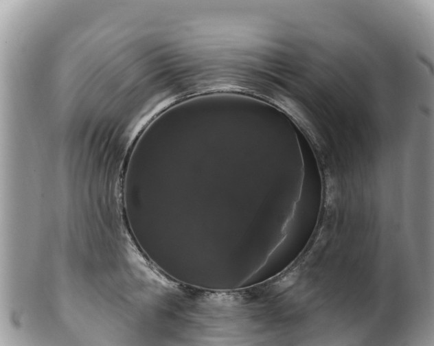 X0000102290806200808011512