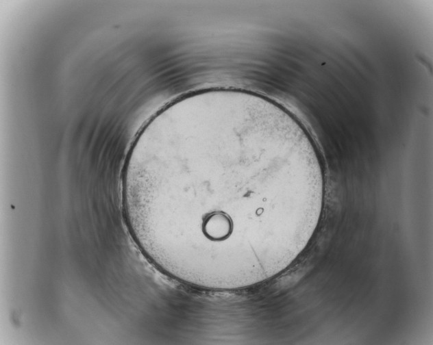 X0000102290807200808011512