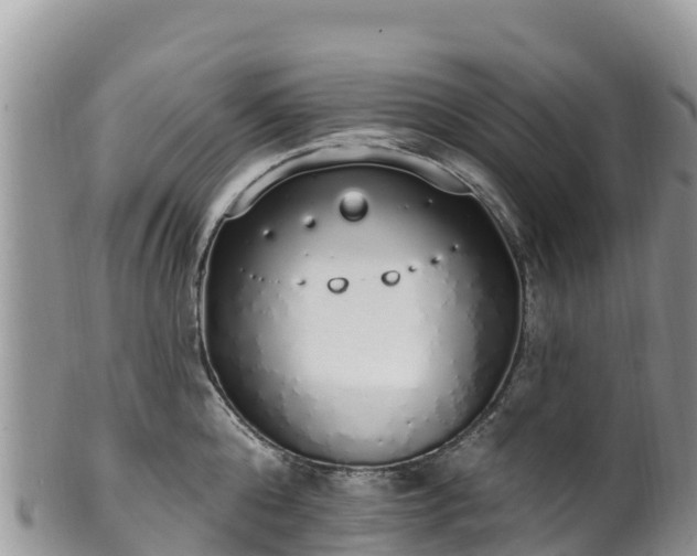 X0000102290808200808011512