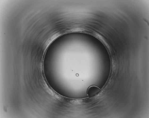 X0000102290810200808011512