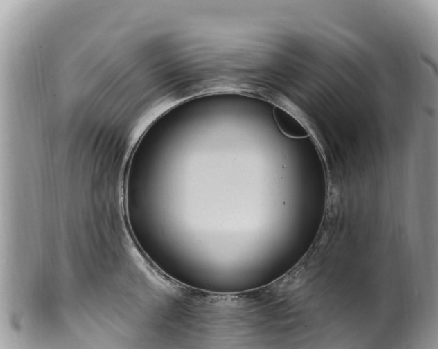 X0000102290811200808011512