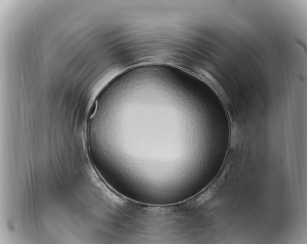 X0000102290812200808011512