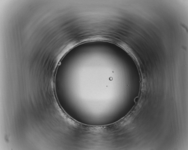 X0000102290813200808011512