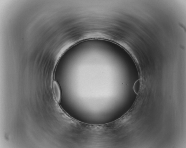 X0000102290815200808011511