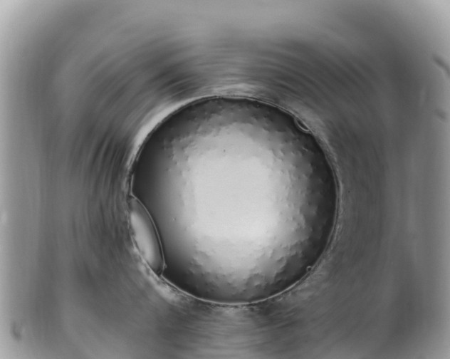 X0000102290816200808011511