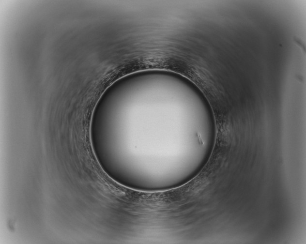 X0000102290817200808011511