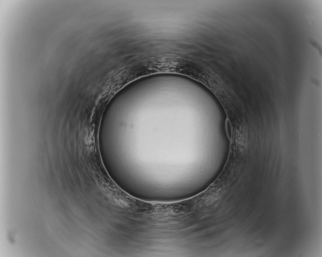 X0000102290818200808011511