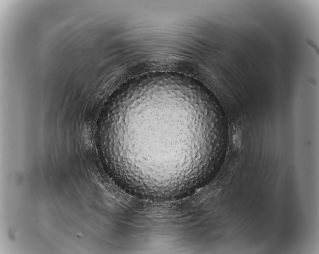 X0000102290819200808011511