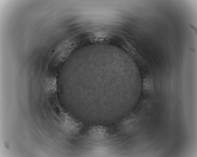 X0000102290820200808011511