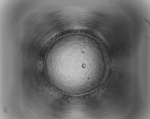 X0000102290821200808011511