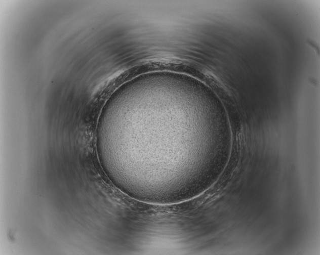 X0000102290822200808011511