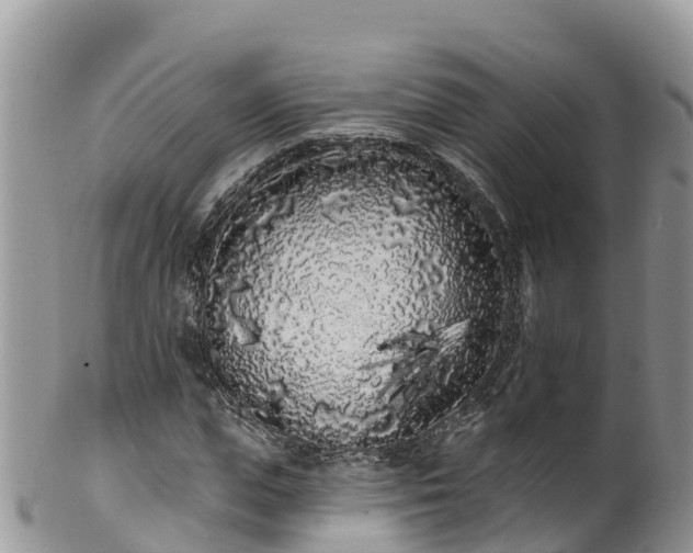 X0000102290823200808011511