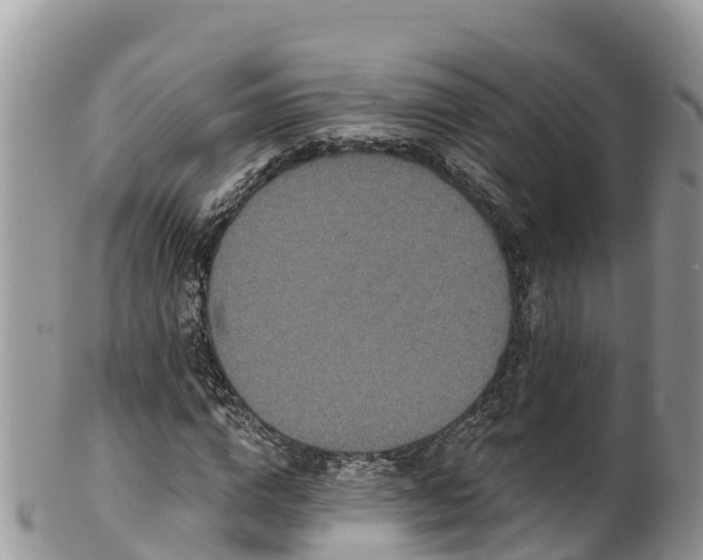 X0000102290824200808011511