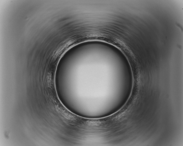 X0000102290825200808011511