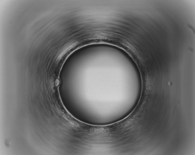 X0000102290826200808011511