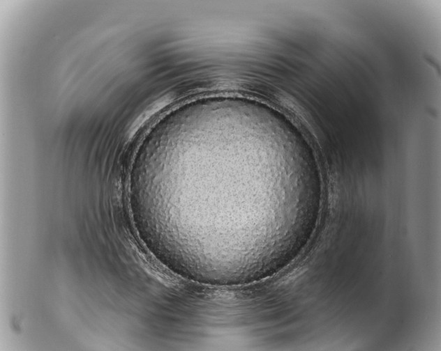 X0000102290827200808011511