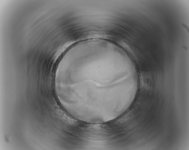 X0000102290828200808011511