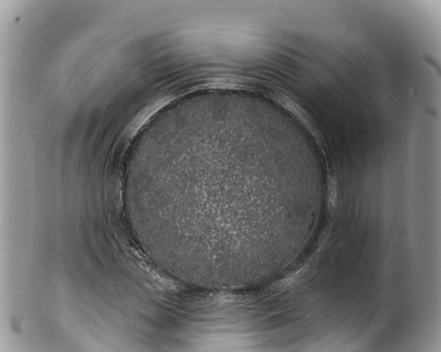 X0000102290829200808011511