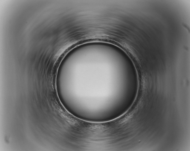 X0000102290830200808011511