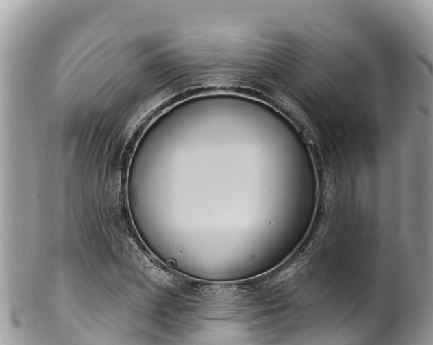 X0000102290831200808011511