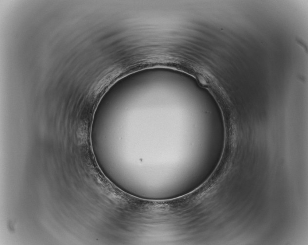 X0000102290833200808011511