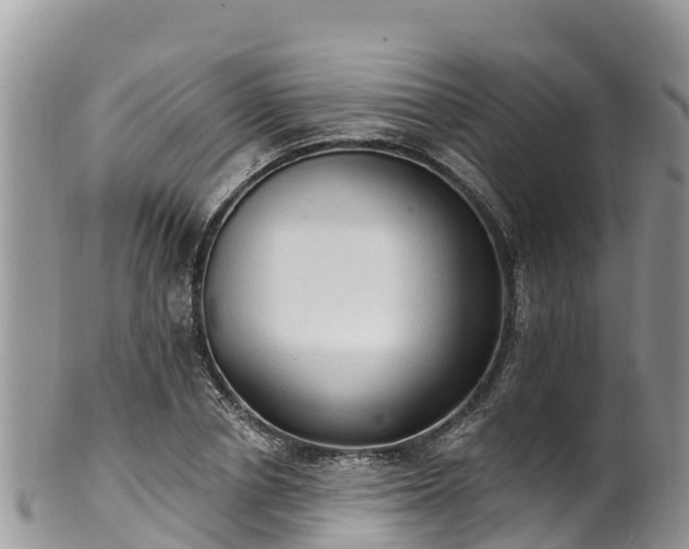 X0000102290834200808011511