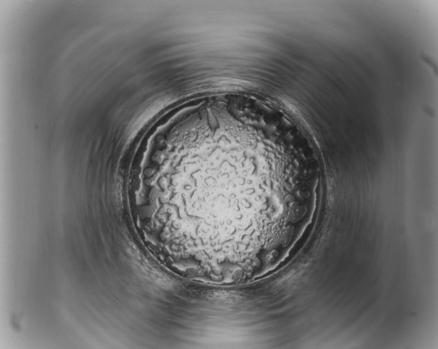 X0000102290835200808011511