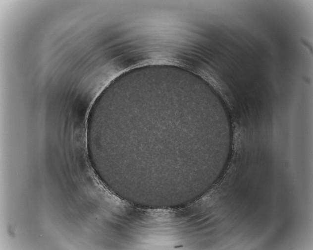 X0000102290836200808011511