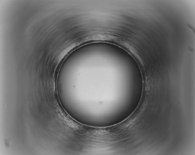 X0000102290837200808011511