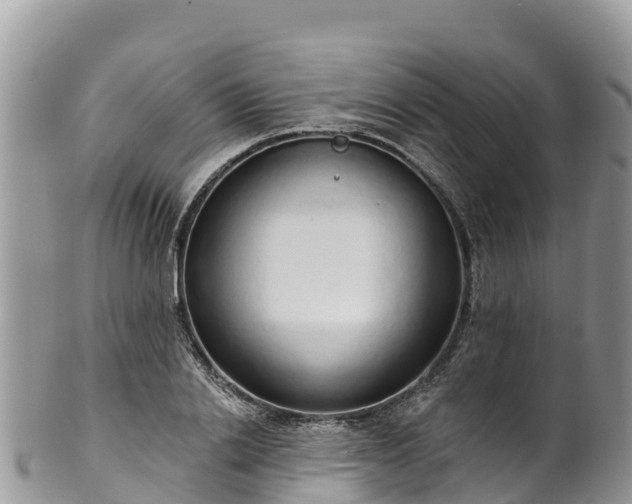 X0000102290838200808011511