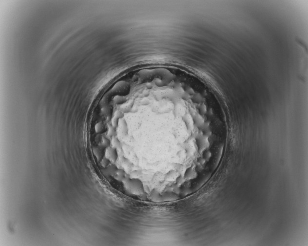 X0000102290839200808011511