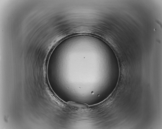 X0000102290840200808011511