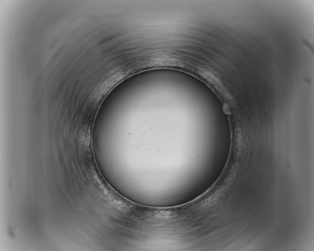 X0000102290841200808011511