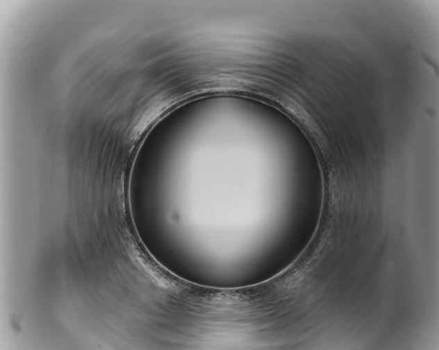 X0000102290842200808011511