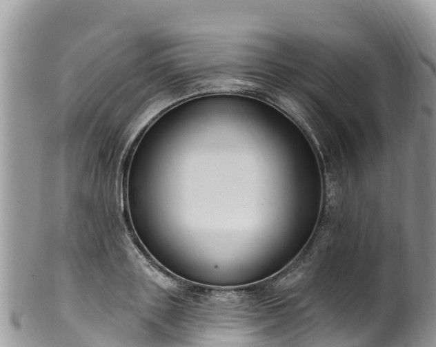 X0000102290843200808011511