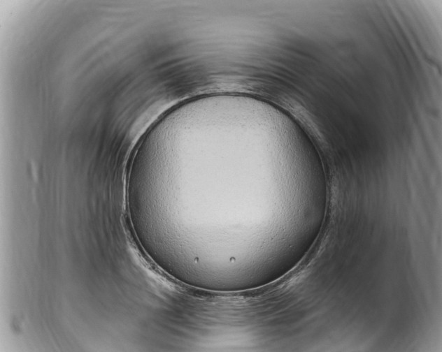 X0000102290844200808011511