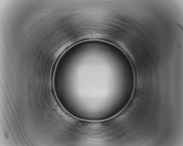 X0000102290845200808011511