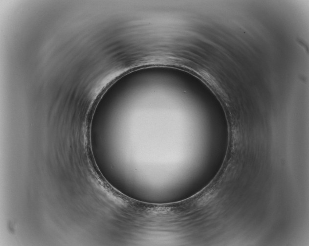 X0000102290846200808011511